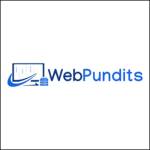 Web Pundits