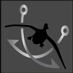 Captain Martys Lake Texoma Fishing Guides