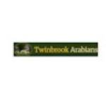 Twinbrook Arabians