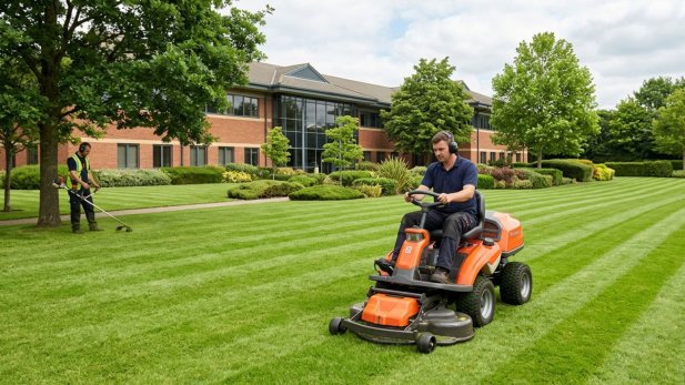 What Does School Grounds Maintenance Include? Services Explained Article - ArticleTed -  News and Articles
