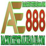 ĐÁ GÀ TRỰC TIẾP