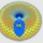 Biocybernaut Institute