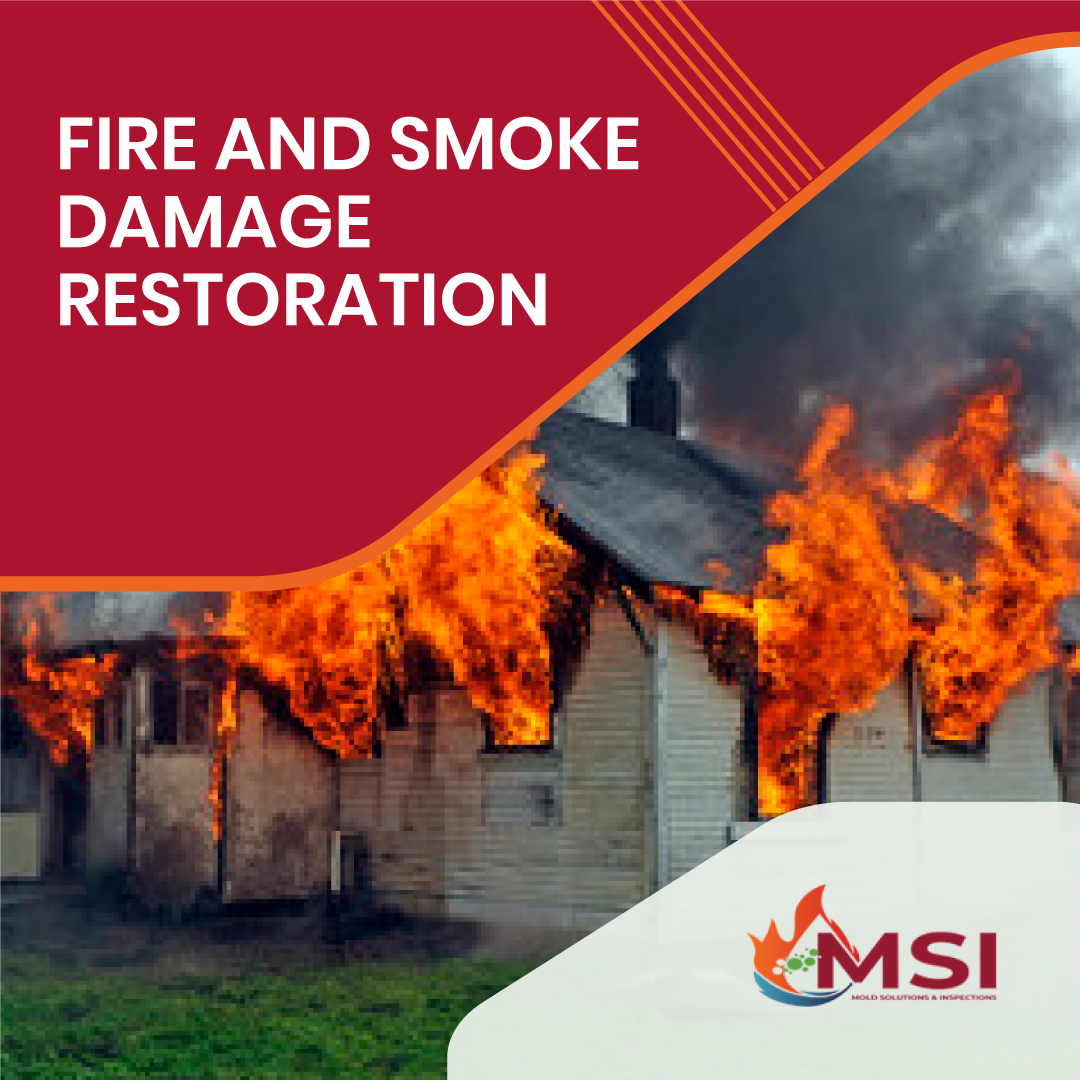 How MSI Brings Homes Back to Life After Fire and Smoke Damage – Mold Solutions & Inspections