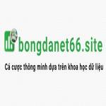 BongdaNET Pro
