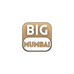Big Mumbai Game