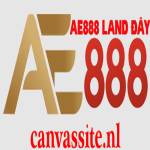 AE888 canvassite