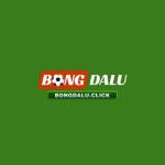 Bongdalu accountant
