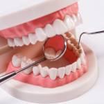 Dental Implant Grafting Course