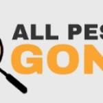 Pest Control Chelsea