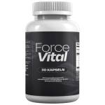 Force Vital2026