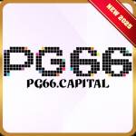 pg66 capital