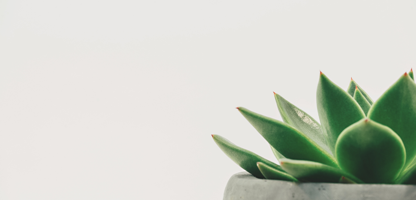 Washington Psychological Wellness | Psychotherapy in Gaithersburg and Rockville MD