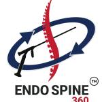 Endo spine360