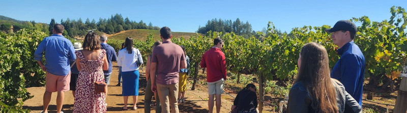 Why Northern Napa Valley Wine Tours Offer a More Scenic Escape: platypustourss — LiveJournal