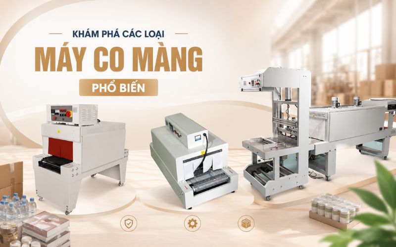 Khám phá các loại máy co màng phổ biến