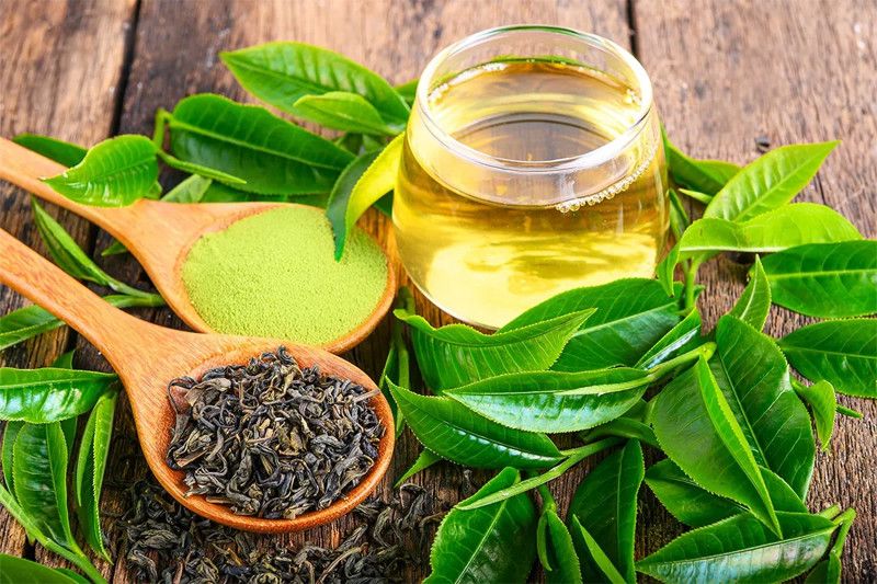 So sánh lá chè tươi và trà khô: Loại nào tốt hơn cho sức khỏe gan? – Ăn Uống Lành Mạnh