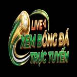 xembongdatructuyen lytuongnet