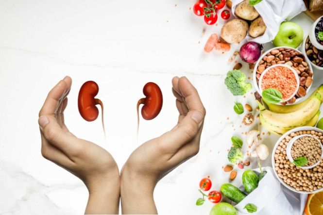 Thực phẩm tốt cho thận: Chế độ ăn uống khoa học để bảo vệ hệ bài tiết – Ăn Uống Lành Mạnh