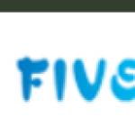 FIVER LTD