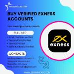 Buy Verified Exness Accounts