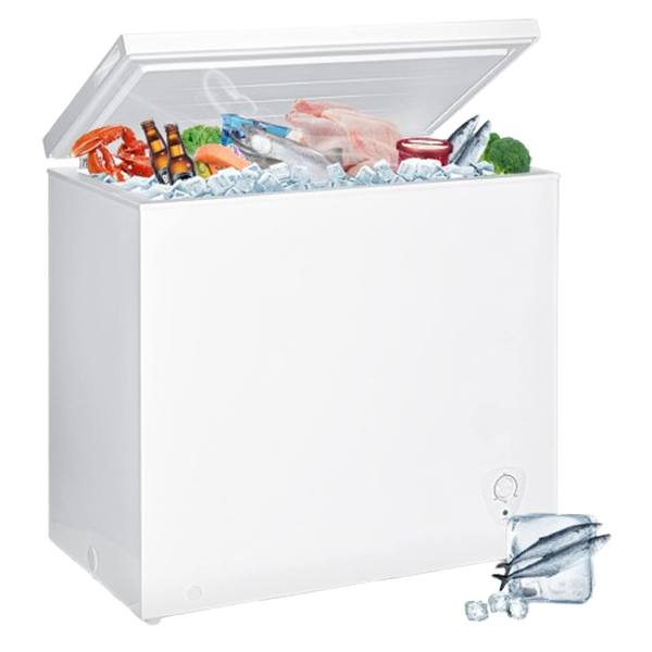 Deep Freezer for Rent | Freezer Storage – Rentit4me