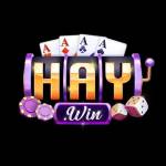 Haywin Games