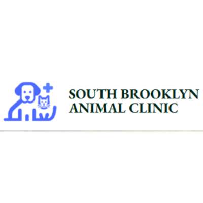 Pet Wellness Exams Brooklyn