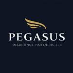 Pegasus Insurance