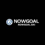 Nowgoal ski