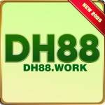 dh88 work
