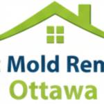 Attic Mold Removal Ottawa