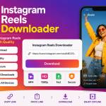 Instagram Reels Downloader