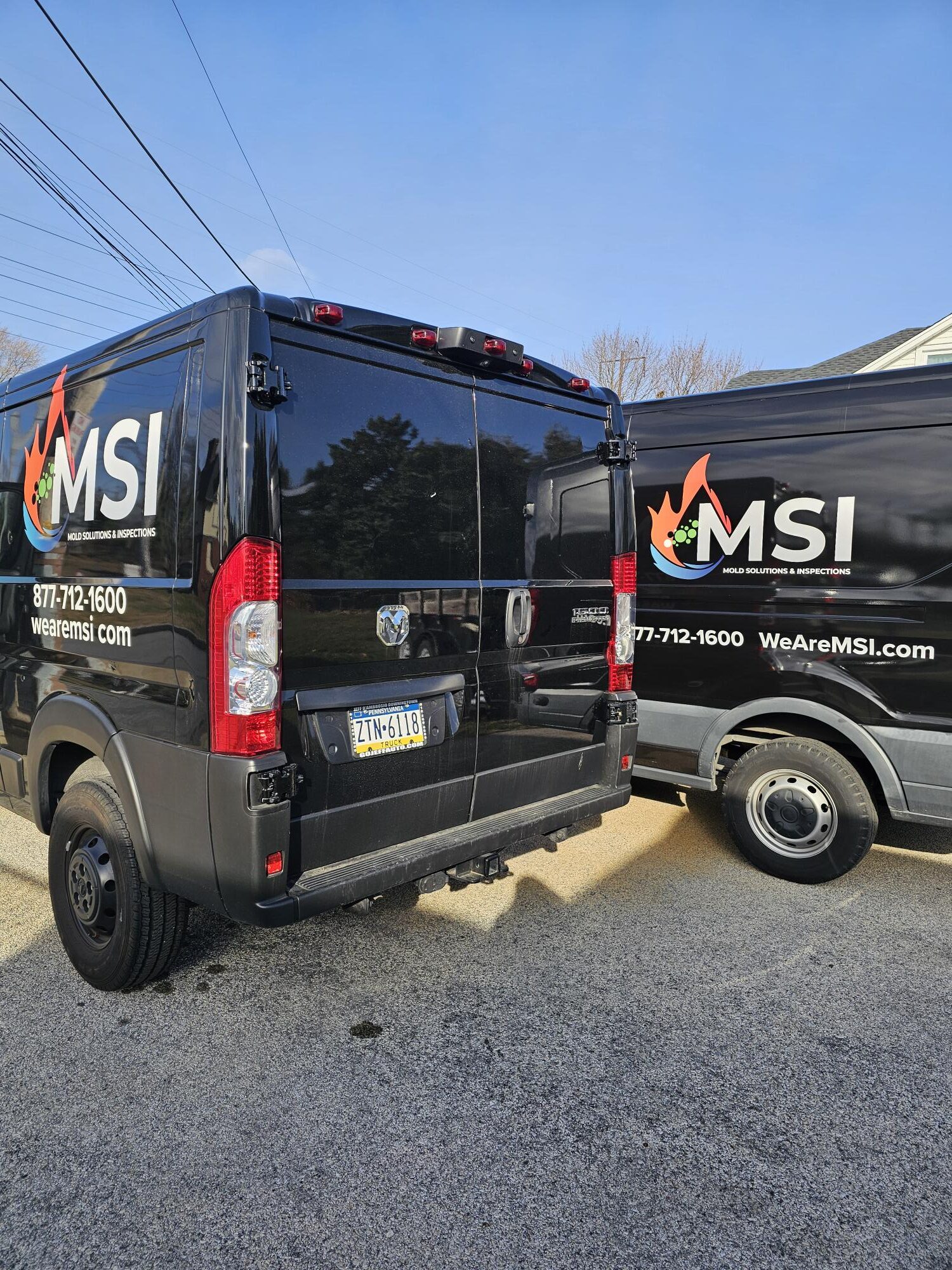 Water Damage Restoration & Mold Remediation Services | Mold Solutions & Inspections