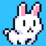 Poor Bunny Game
