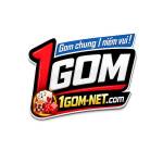 gomnetcom1