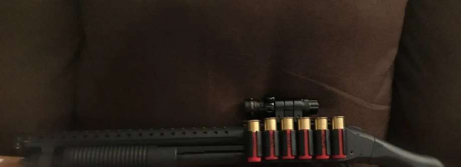 Shock Wave Heatshield